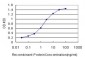 RAB7B Antibody (monoclonal) (M01)